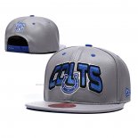Gorra Indianapolis Colts Gris